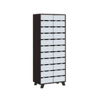 ENYA CARB-P2 Certified Board Premium Shoe Cabinet Soft Closing Fully Laminated Back Panel