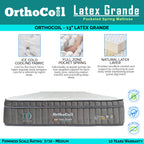 Orthocoil Mervins 14"/16"/18" SBD Storage Bed  w/ PetFriendly Scratch-resist w/ Mattress