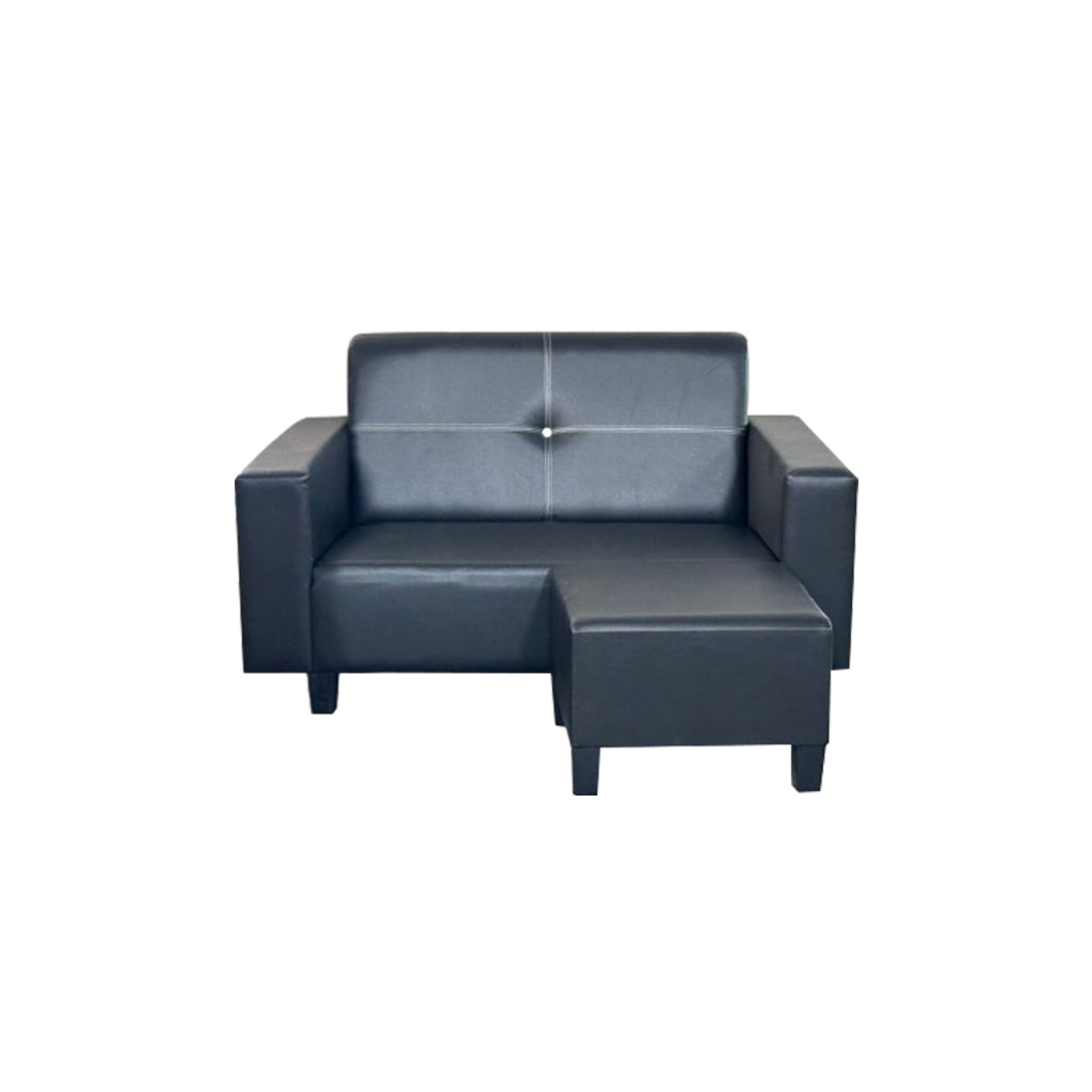 Danie Series4 2-Seater 3-Seater Sofa with Ottoman with Pet-Friendly Color Options