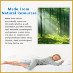 Honey Latex Fusion Pillow 5" Eco Friendly Anti-Bacteria Hypoallergenic