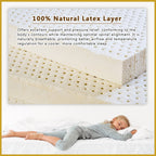 Honey Rubberest 8" Mattress Latex Spine Support Foam - All Sizes Available