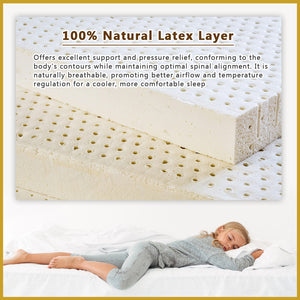 Honey Rubberest 8" Mattress Latex Spine Support Foam - All Sizes Available