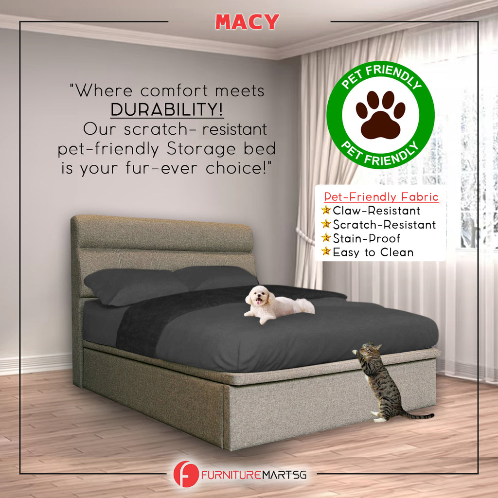 Diomire Macy 14"/16"/18" SBD Storage Bed Pet Friendly Scratch-Resistant Fabric 27 Colours - With Mattress Add-On
