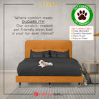 Siena Divan Bed Frame Pet Friendly Scratch-Resistant Fabric - With Mattress Add On - All Sizes Available