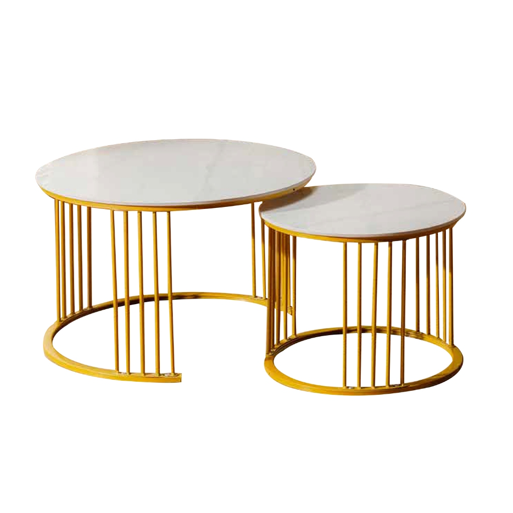 Shane Premium Coffee Center Table Steel Metal Leg + Marble Ceramic Top - 2 Colors