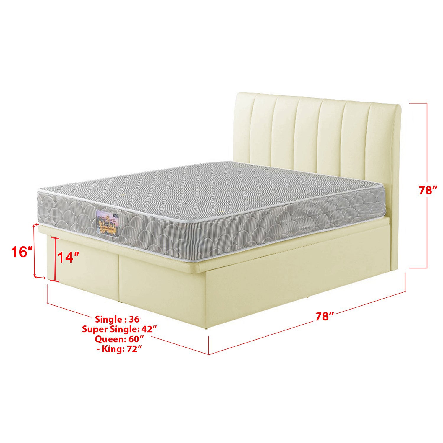 Snails Leather Storage Divan In Single, Super Single, Queen, and King Size