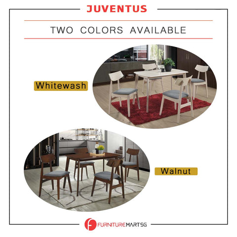 Juventus Dining Set Table with Chair & Bench in Natural Whitewash & Walnut Color