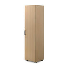 Poyee Series CARB-P2 Certified Board 1-Door 2-Door Utility Cabinet Equipment Storage
