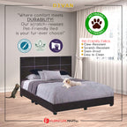 Faux Leather/Fabric Divan Bed Frame Color w/ Pet-Friendly Option- Available in All Sizes