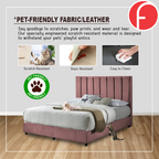 Miller Divan Bed Frame with Foam Padded Headboard - PetFriendly Option / All Sizes