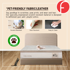 Amour Platform Divan Bed Frame PetFriendly Scratch Resist All Sizes w/ Mattress Option