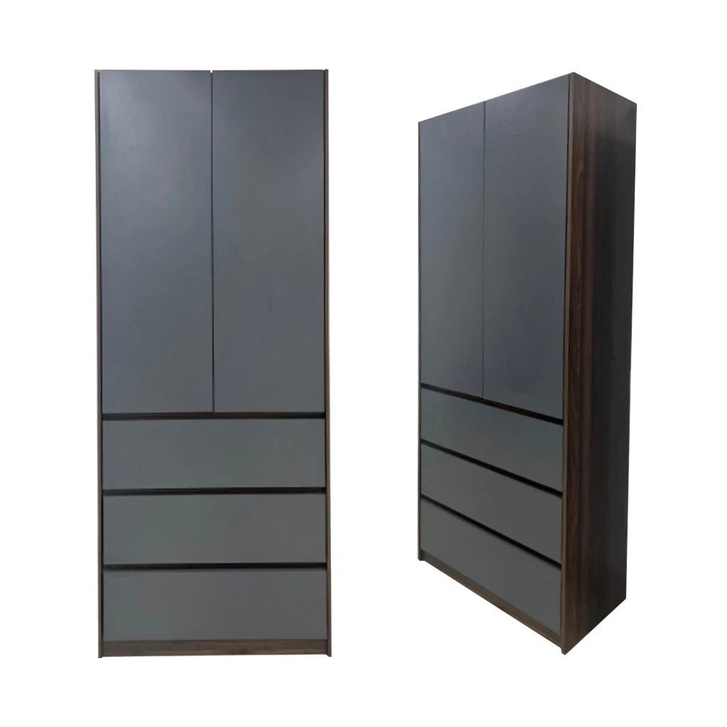 Nolin Modern 2 Door Hanging Wardrobe + 3 Layer Drawer Laminated Back Panel