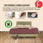 Connor Divan Bed Frame with Mattress - PetFriendly Option / All Sizes