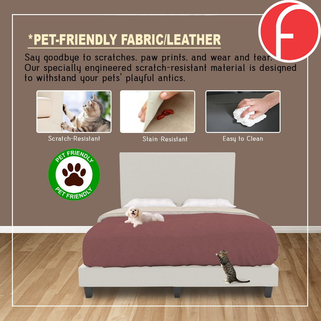 Daxton Divan Bed Frame with Foam Padded Headboard - PetFriendly / With Mattress