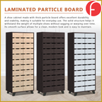 Lumi 4 Tier Premium Shoe Cabinet Soft Closing Fully Laminated Back Panel in 3 Colours