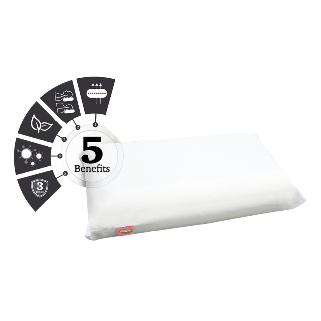 Goodnite Latex Feel Pillow