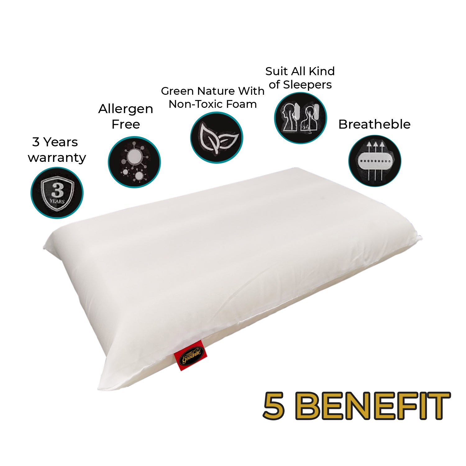 Goodnite Latex Feel Pillow
