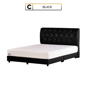 Shivom C Series Leather Divan Bed Frame In Single, Super Single, Queen, and King Size