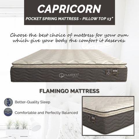 Image of Flamingo Capricorn pillow top mattress