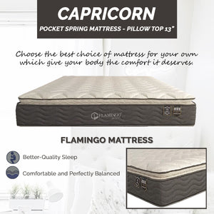 Flamingo Capricorn pillow top mattress
