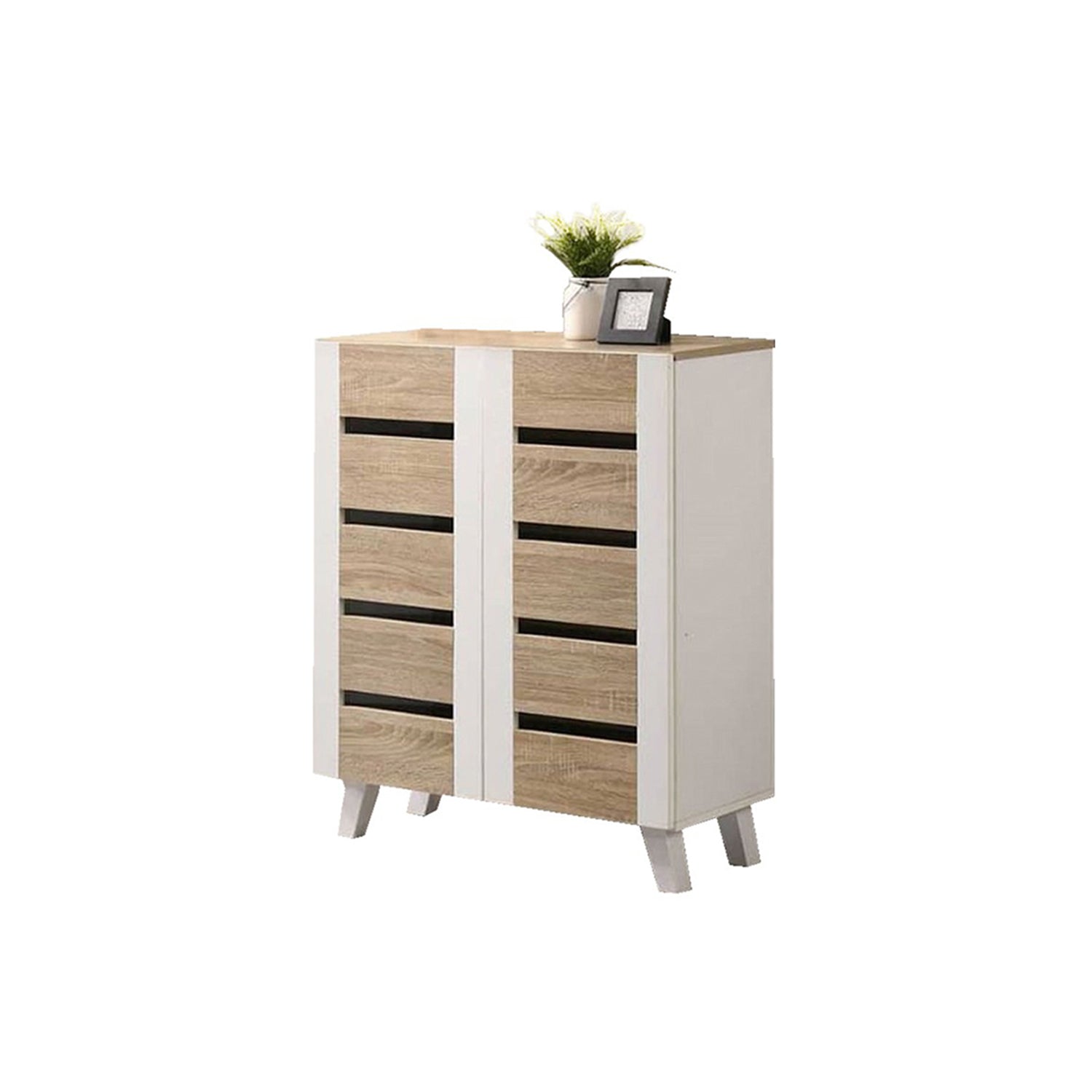 Blair 2 Door shoe storage unit
