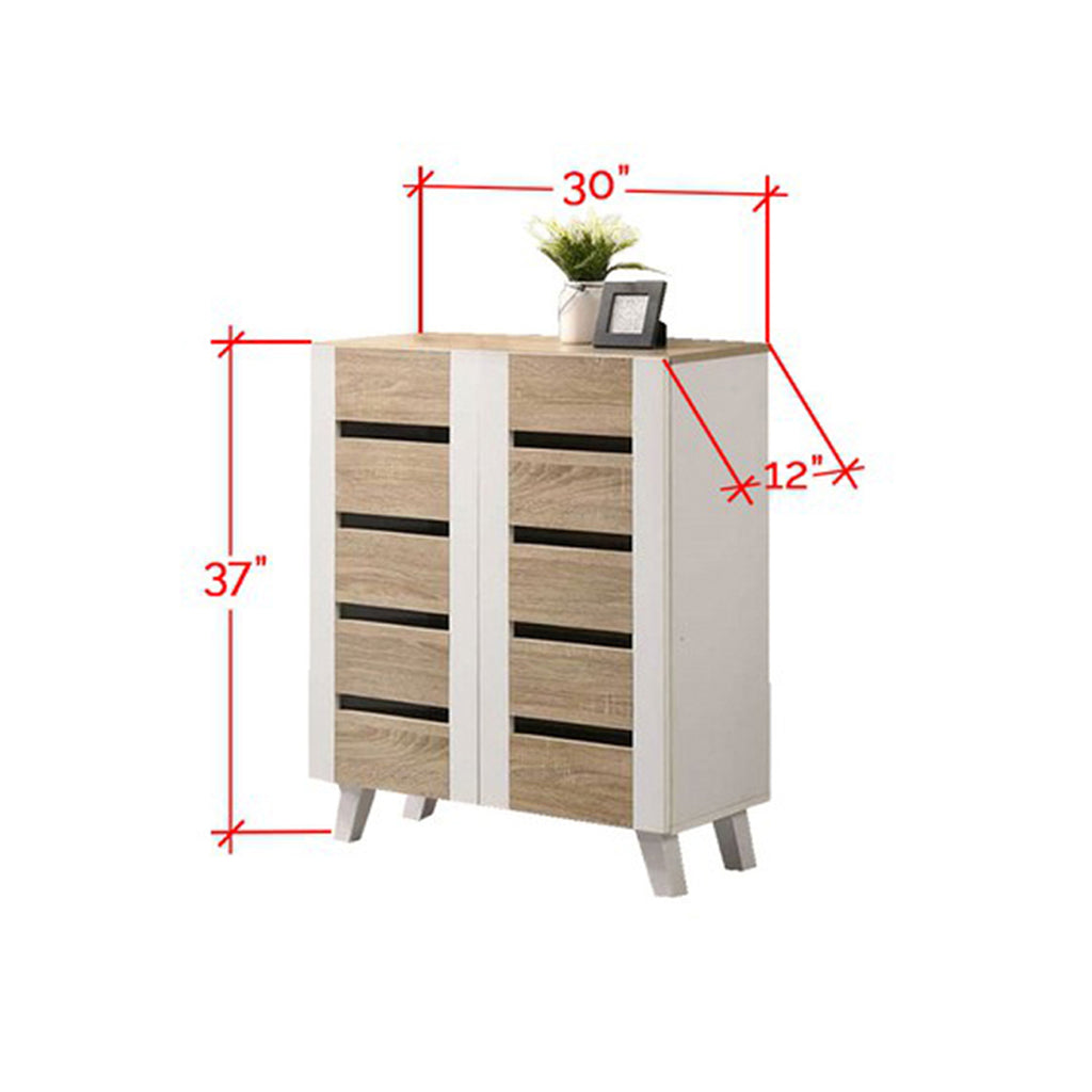 Blair 2 Door shoe organizer cabinet