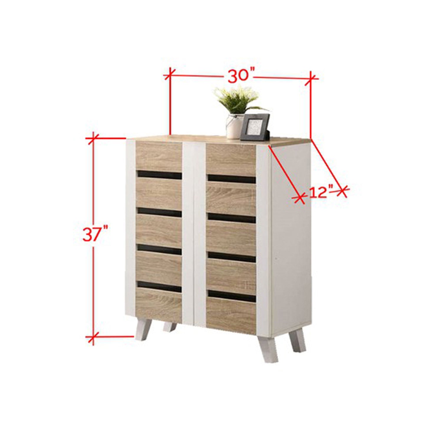Blair 2 Door shoe organizer cabinet