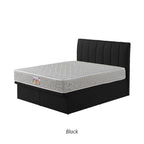 Snails Leather Storage Divan In Single, Super Single, Queen, and King Size-Bed Frame-Furnituremart.sg