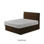Snails Leather Storage Divan In Single, Super Single, Queen, and King Size-Bed Frame-Furnituremart.sg