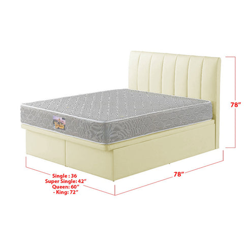 Image of Snails Leather Storage Divan In Single, Super Single, Queen, and King Size-Bed Frame-Furnituremart.sg