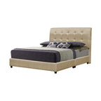 Furnituremart Shivom Series simple divan